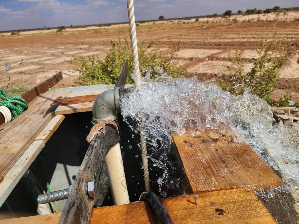 Solar Water Pumping System for Well