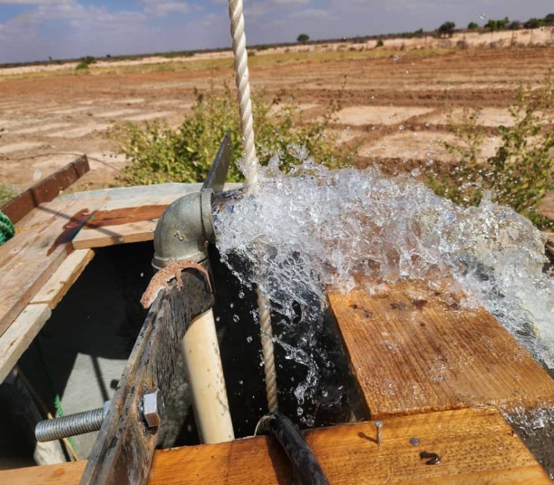 WhatsApp Image 2025-01-07 at 17.13.15